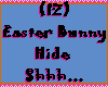 (IZ) Easter Bunny Hide