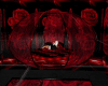[LL]roses bed 20 pozes