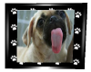 Puppy licking pic ^^