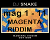 DJ SNAKE