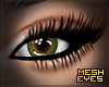 Hazel | Mesh Eyes