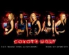 Coyote Ugly Pic