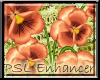 PSL Peach Flower Enh