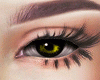 Yellow Dark Eyes