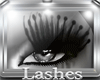 $TM$ Dramatic Lashes