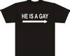[Lua]T-Shirt hi is gay