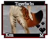 Tigerfuchs Kini M