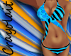 *C* Bikini Blue & Black