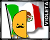 ! Bandera Mexico !Viva!