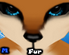| Foxira Fur M |