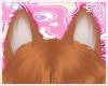 T|Fox Ears Rust
