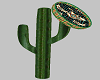 Sombrero/Cactus & Pose