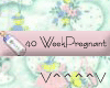 40 Weeks Pregnant (P)