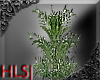 HLS|OnyxFLOOR|PLANT 2