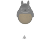 Totoro and I