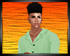LS~ELEGANT GENTL AVI