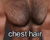 Real Turkish Chest Hair