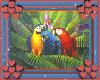 Parrots