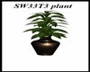 sw33t3 plant