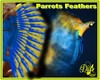 |DRB| Parrots Feathers