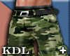 August Camo