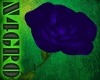 [N4] Rose blue-viol Dark