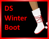 DS Winter Boot