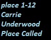 Carrie Underwood Place