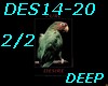 DES14-20-Pure D-P2