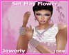 |DRB| Set May Flower