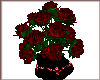 Valentine Rd Roses Skull