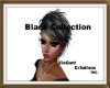 Blk Hair Collection x