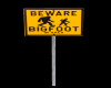 BigFoot Warning