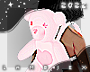 Bear Bag PK