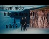vincent niclo tribu dana