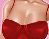 Carpenter Red Set