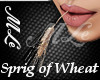 (MLe)Sprig of Wheat  (F)