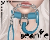 LB Collar w/chain