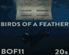 Birds Of Feathers Song