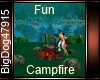 [BD] Fun Campfire