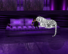 Purple Tiger couch 2