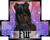 [EP]Rainbowish Fur Male
