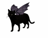 PET BLACK CAT