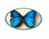 Rug with blue butterfly