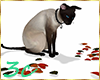 [3c] Siamese Cat
