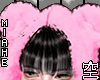 空 Bear Scarf 空