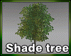 Shade Tree DEV