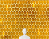 Honeycomb drip+ bees