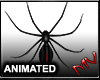 (MV) RedBack Wall Spider