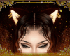 Kottur Cub ears